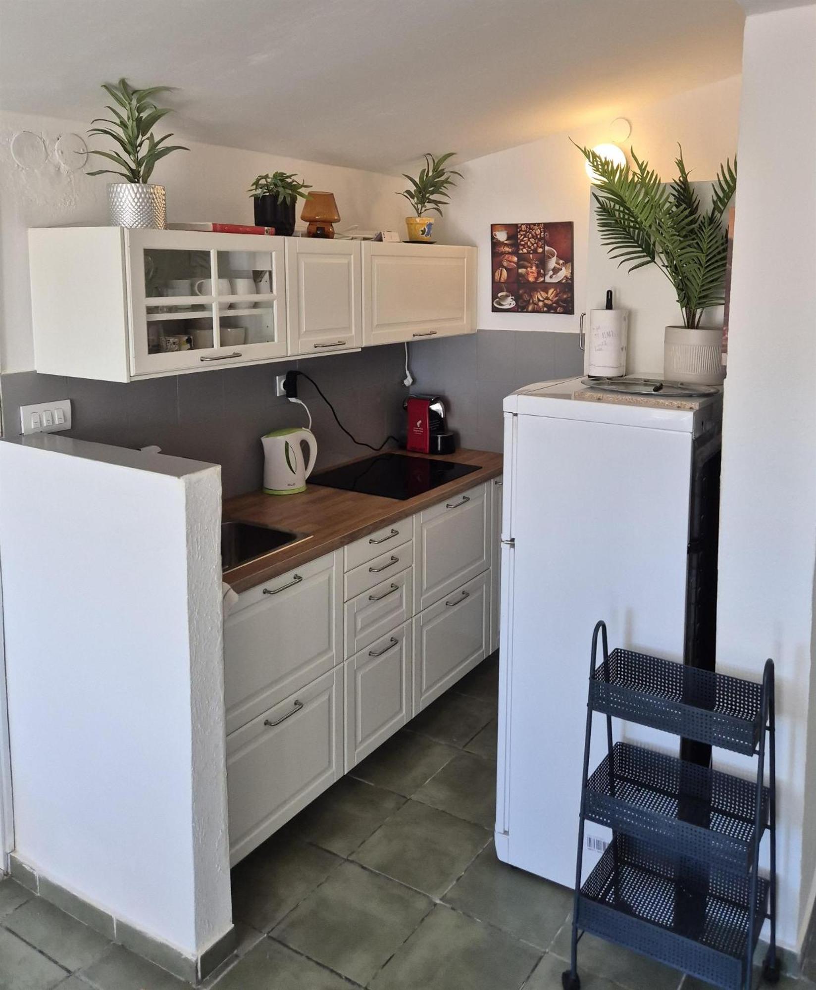 Apartments Ercegovic 로고즈니차 외부 사진